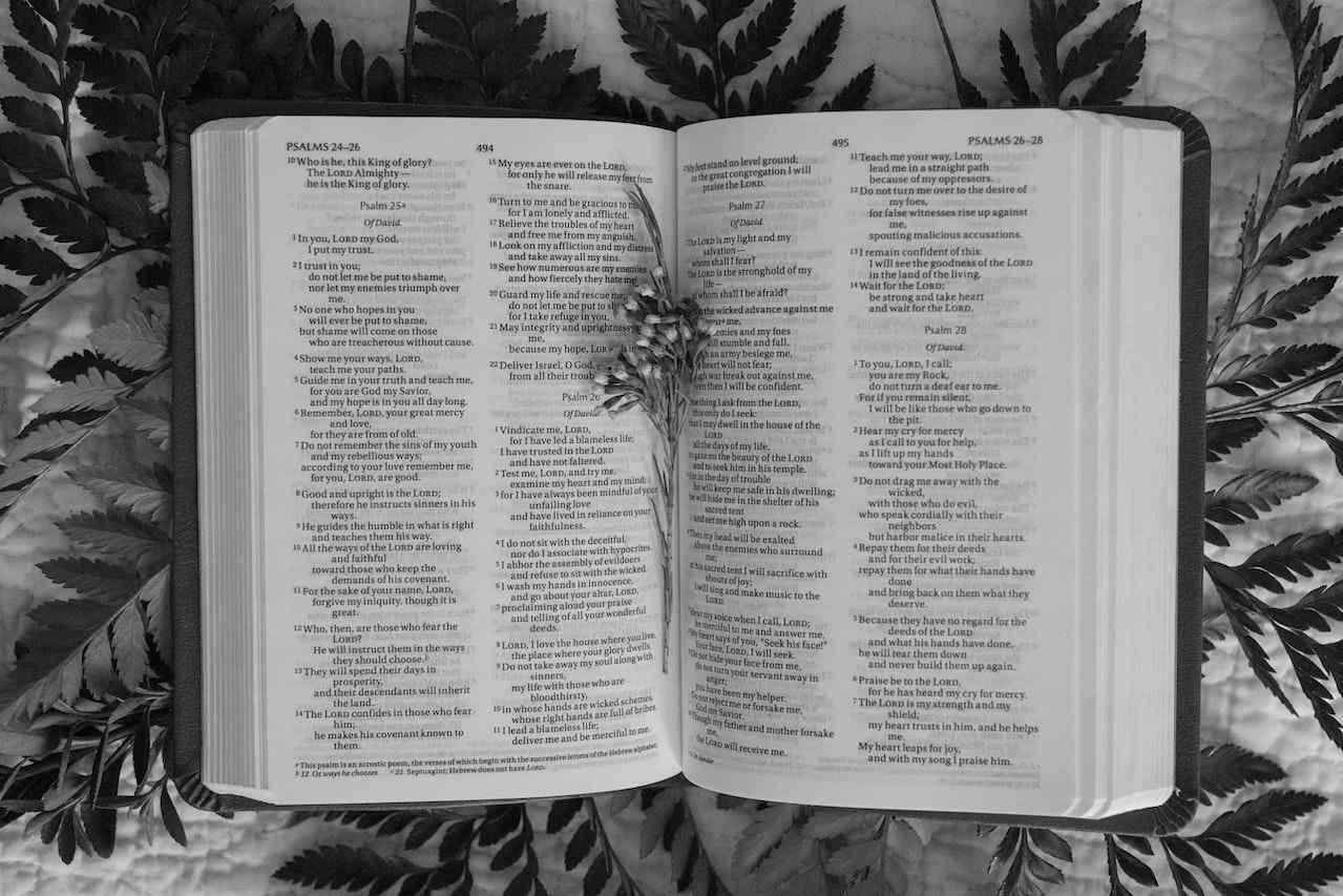 Biblical Reference Of Wormwood In The Bible - Onetechspot